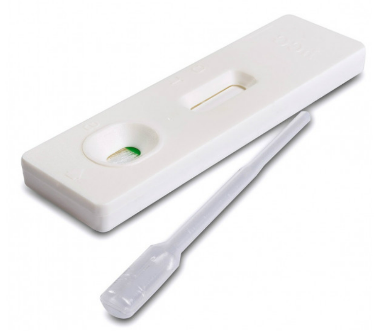 Pregnancy Test